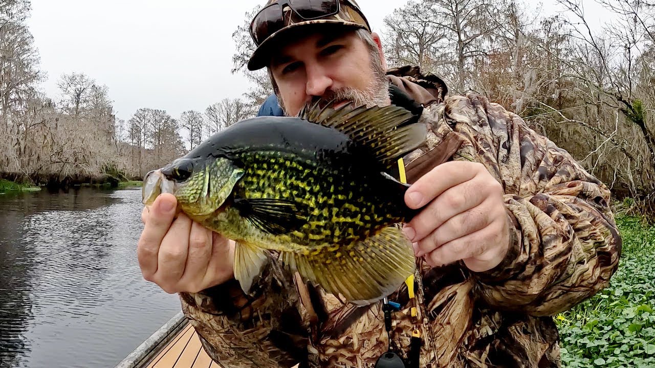 Cold Front Crappie Fishing on Withlacoochee River