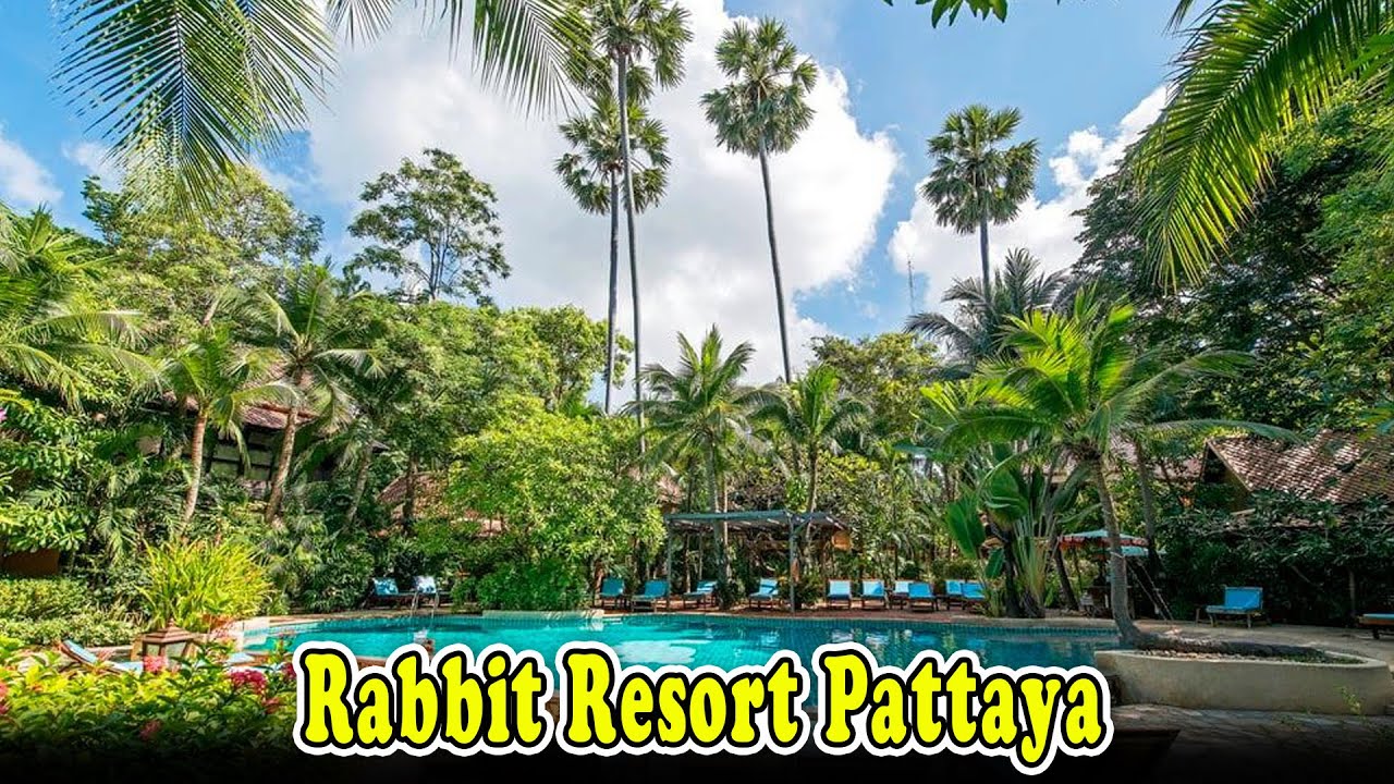 Rabbit Resort Pattaya Reviews | Rabbit Resort Pattaya Thailand | Pattaya Dog Friendly Hotel