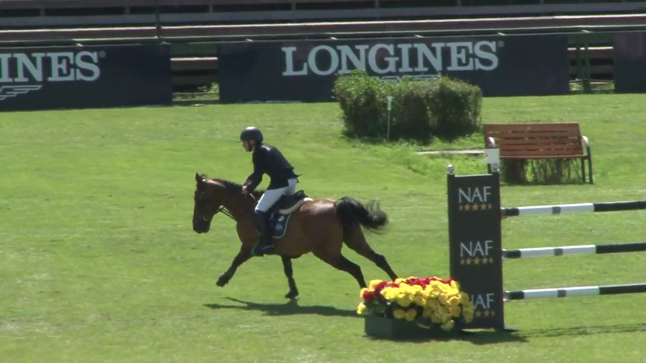 Jump Off Ingemar Hammarstr&ouml;m and Ocean des AS Falsterbo 2017