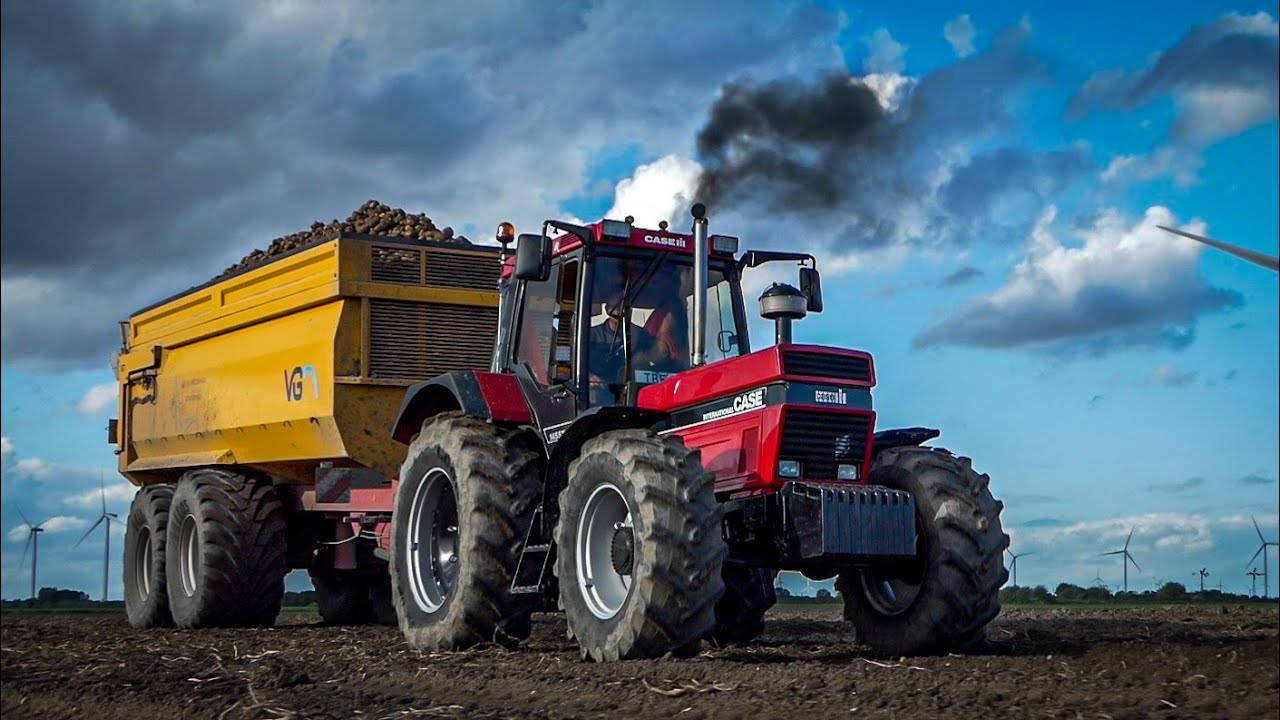 Potato Harvest | 2X Dewulf RA3060 + Case IH 1455XL & Fendt | Mts van de Westeringh