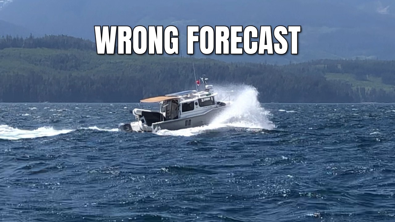 Epic Journey to Alaska: Day 3! What Happens at Seymour Narrows & Johnstone Strait?