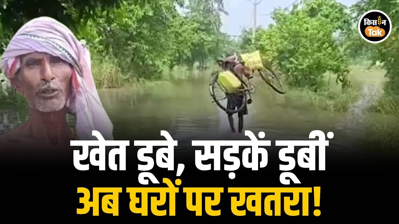 Begusarai Flood: गंगा का जलस्तर बढ़ा, दियारा में 2 फीट पानी! डूबी फसलें, नाव बनी सहारा