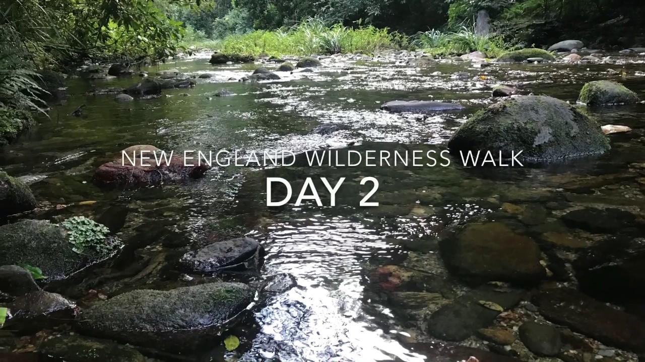 New England Wilderness Walk Day 2