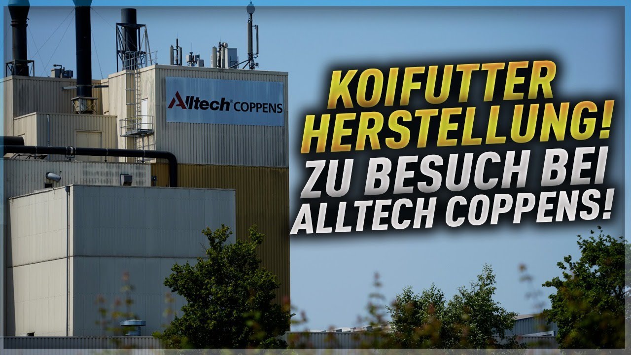 So wird Koifutter hergestellt! Zu Besuch bei Alltech Coppens!