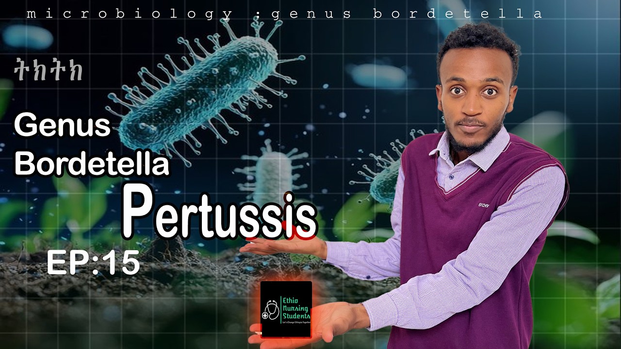 Genus  Bordetella  Pertussis  ትክትክ Whooping Cough  EP:15
