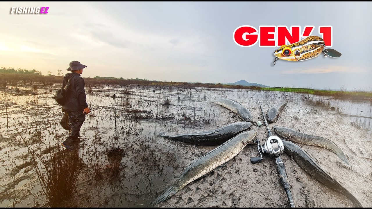 ตกปลาช่อนกลางฝน กัดสนั่นเขื่อน  FISHINGEZ วันที่ 7-3-64