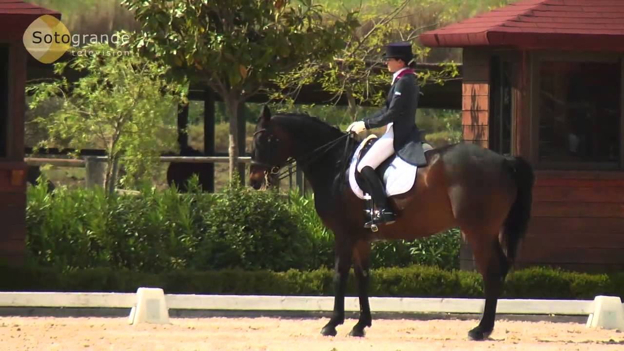 Dressage Test -- Explained in detail by Georg Prause -- Dos Lunas - Sotogrande - May 2013
