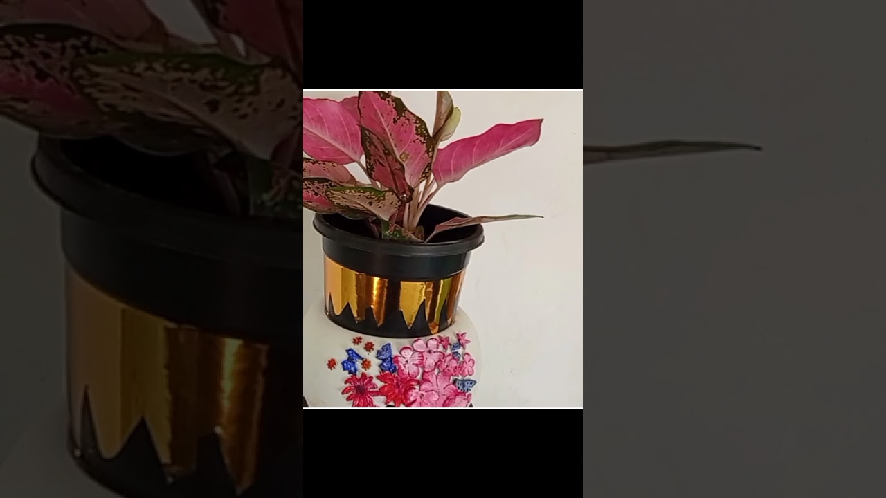 #shorts Red aglonemia and matching pot decor ideas