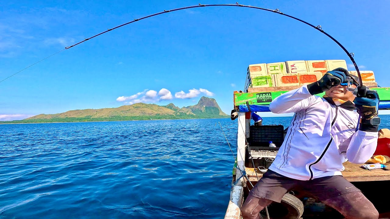 SARANG IKAN BABON SEMUA DIPULAU INI !!!