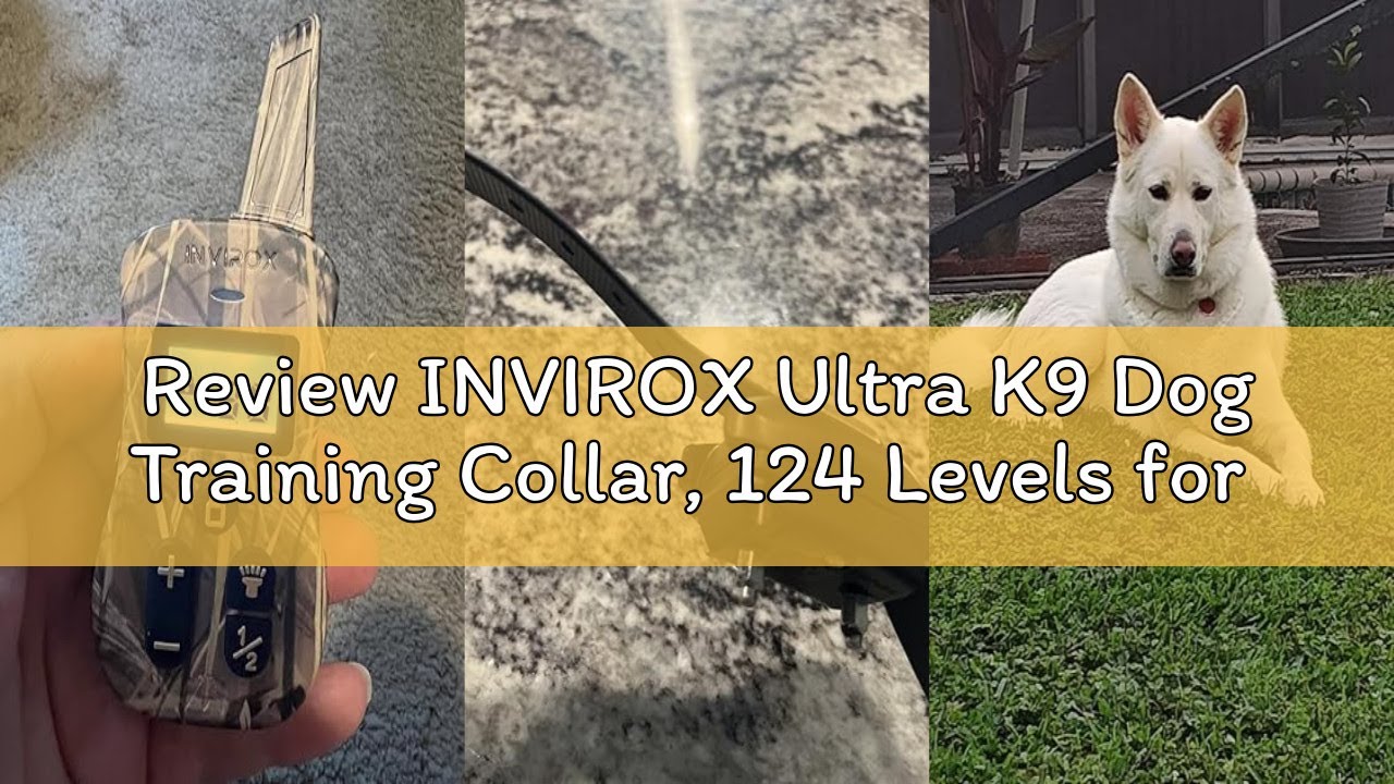Review INVIROX Ultra K9 Dog Training Collar, 124 Levels for Reactive, Stubborn or Hard-to-Train Dogs