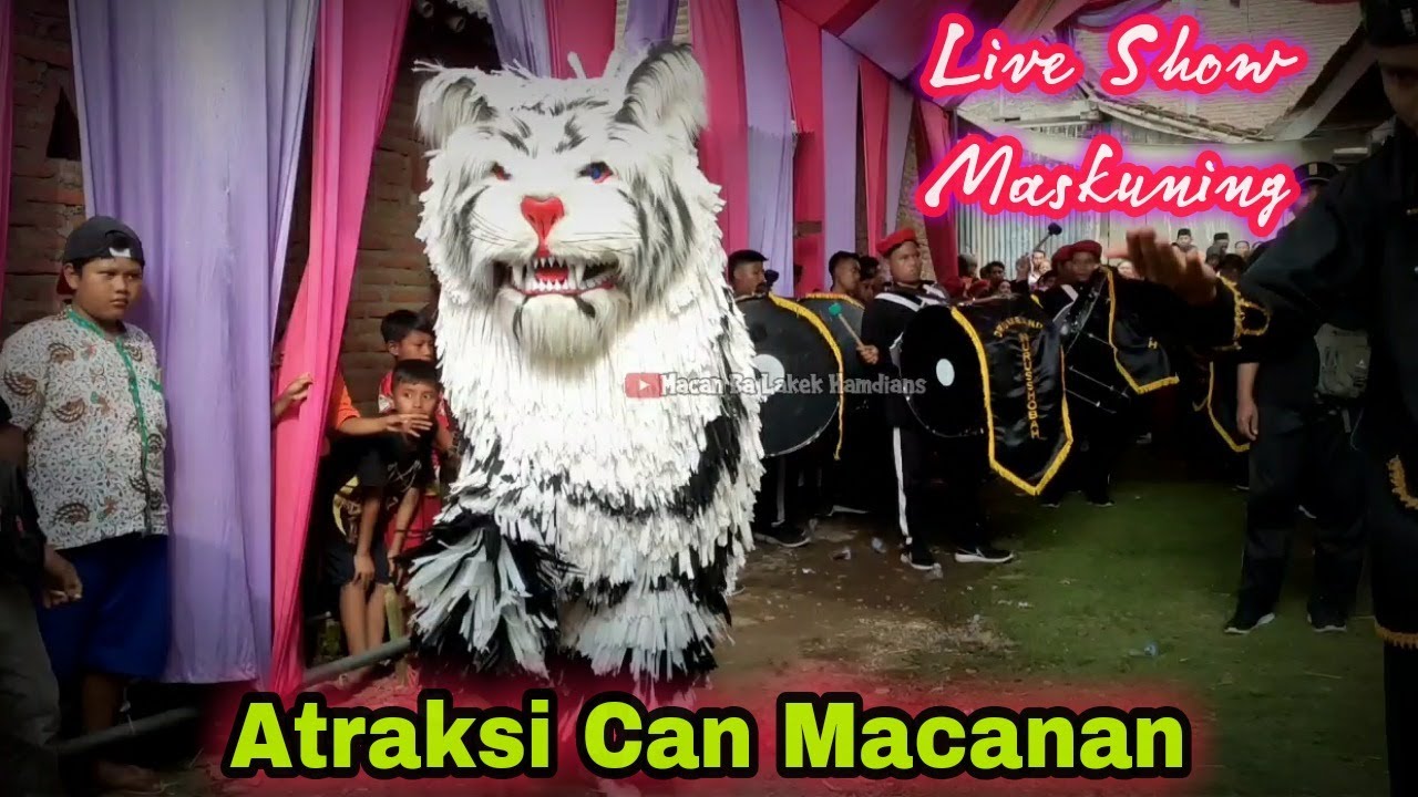 TERBARU ~ ATRAKSI CAN MACANAN BA LAKEK HAMDIANS LIVE SHOW MASKUNING