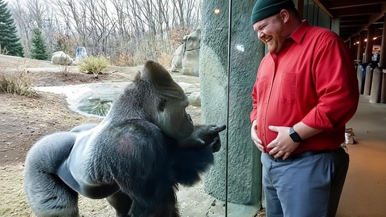 No Podrás Parar De Reír 🤪 Cuando Los Animales Sorprenden A Los Humanos
