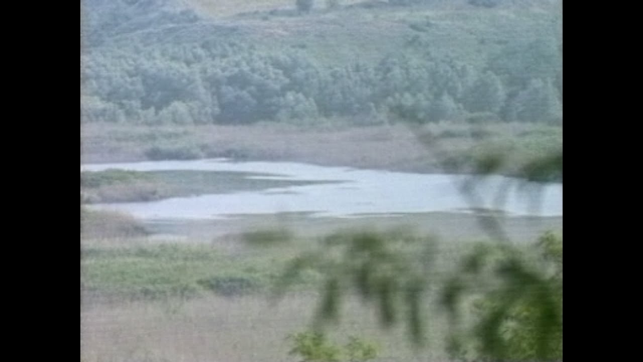 СРЕБЪРНА ПРИКАЗКА - филм за резерват „Сребърна“ (1999)