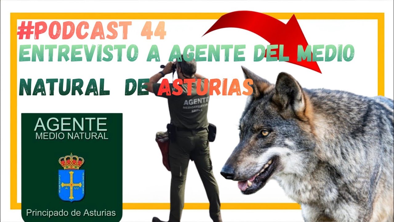 #podcast  44: Entrevisto Agente del Medio Natural de Asturias / FURTIVISMO, LOBO, INCENDIOS y MAFIA