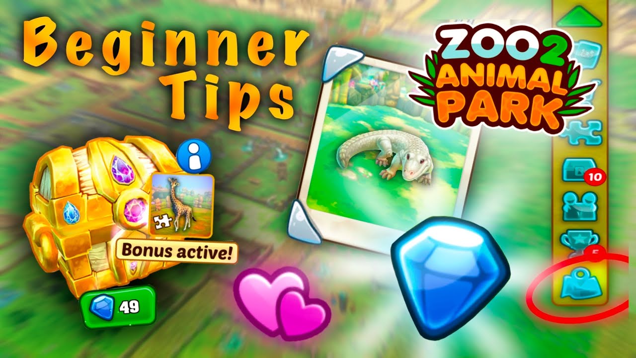 Beginner Tips | Zoo 2: Animal Park