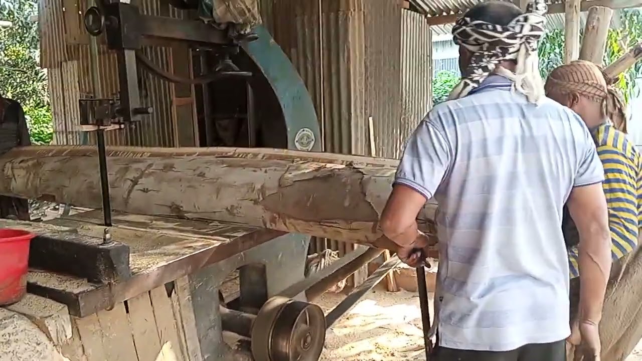 স'মিলে ইউক্যালিপটাস গাছের কাঠ চেড়াই