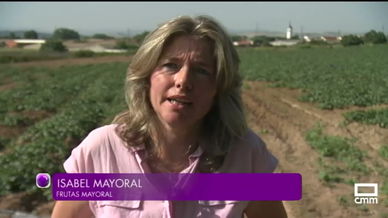 De la huerta talaverana a la mesa del consumidor (12/07/2015)