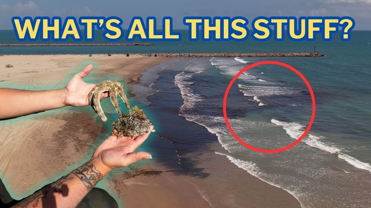 CRAZY Stuff Is Washing Up on This Beach!