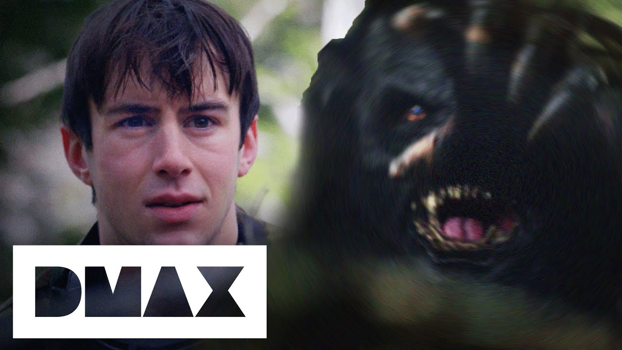An Encounter With A Wisconsin Dogman? | These Woods Are Haunted