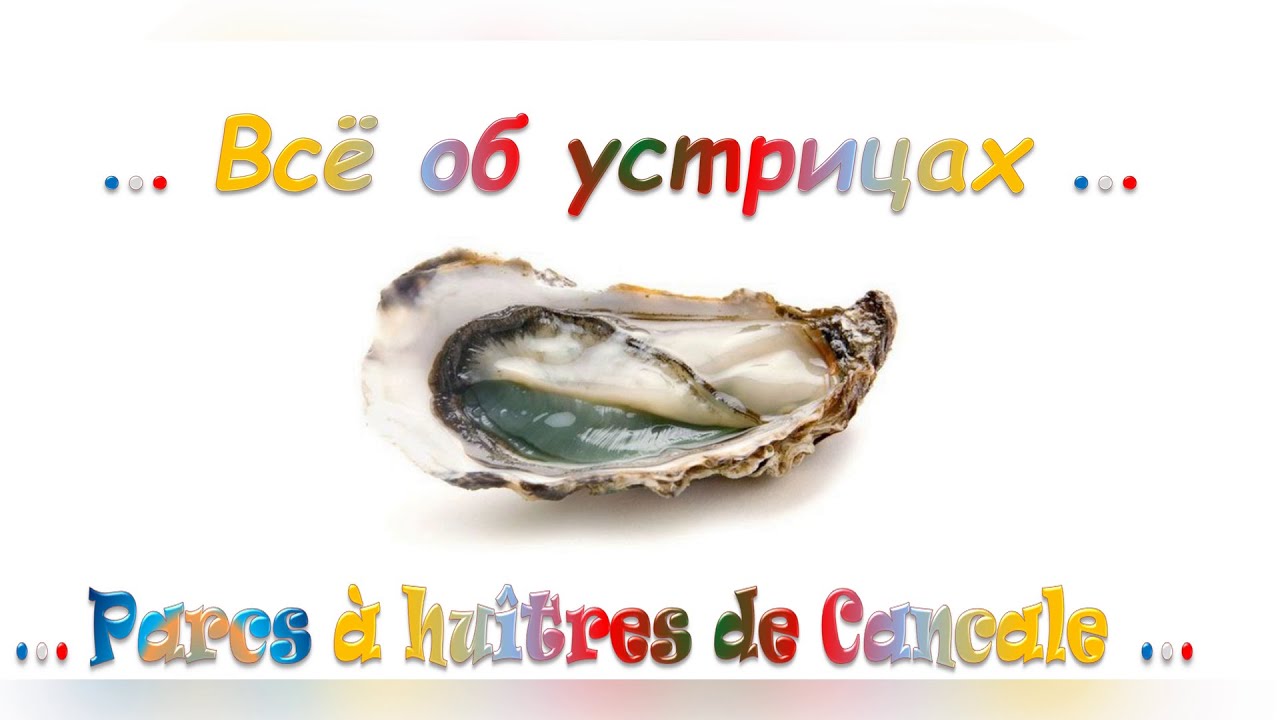 🥓🧆🍨Диалоги на французском, устрицы, разведение устриц, Канкаль, как выращивают устрицы, дары моря.