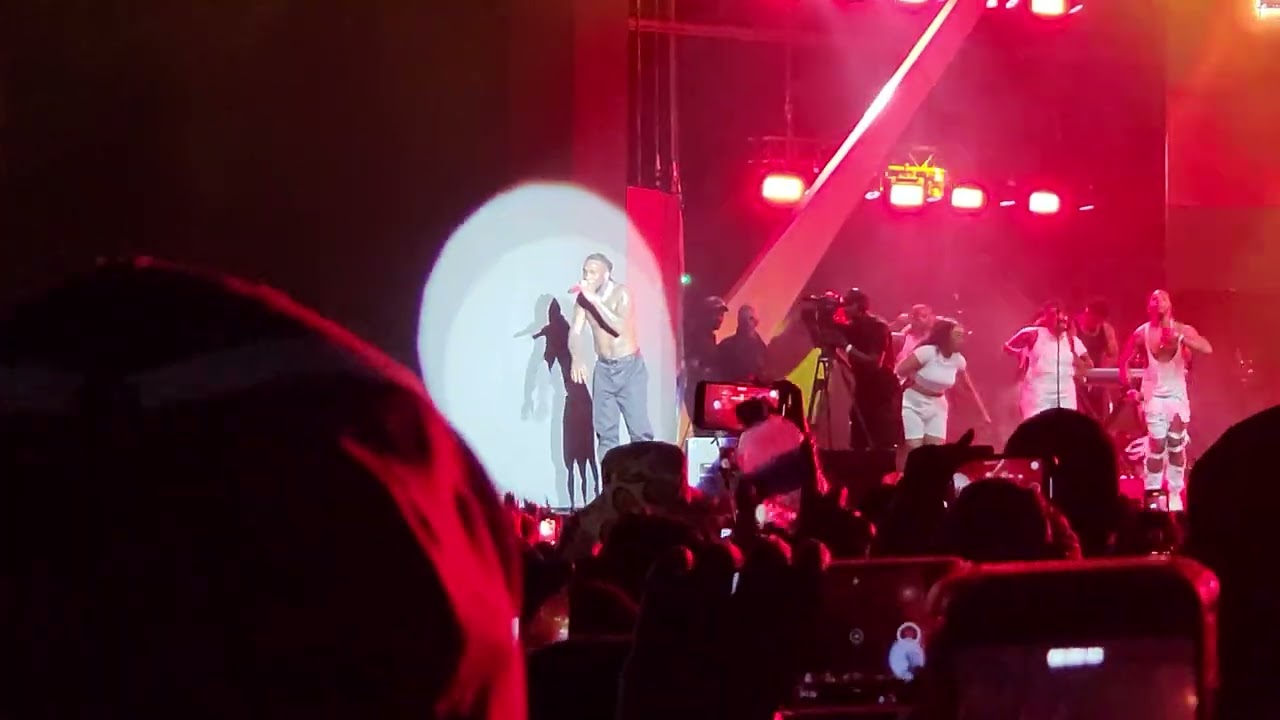 Burna Boy live performance at SA @DStvDeliciousFestivalSA