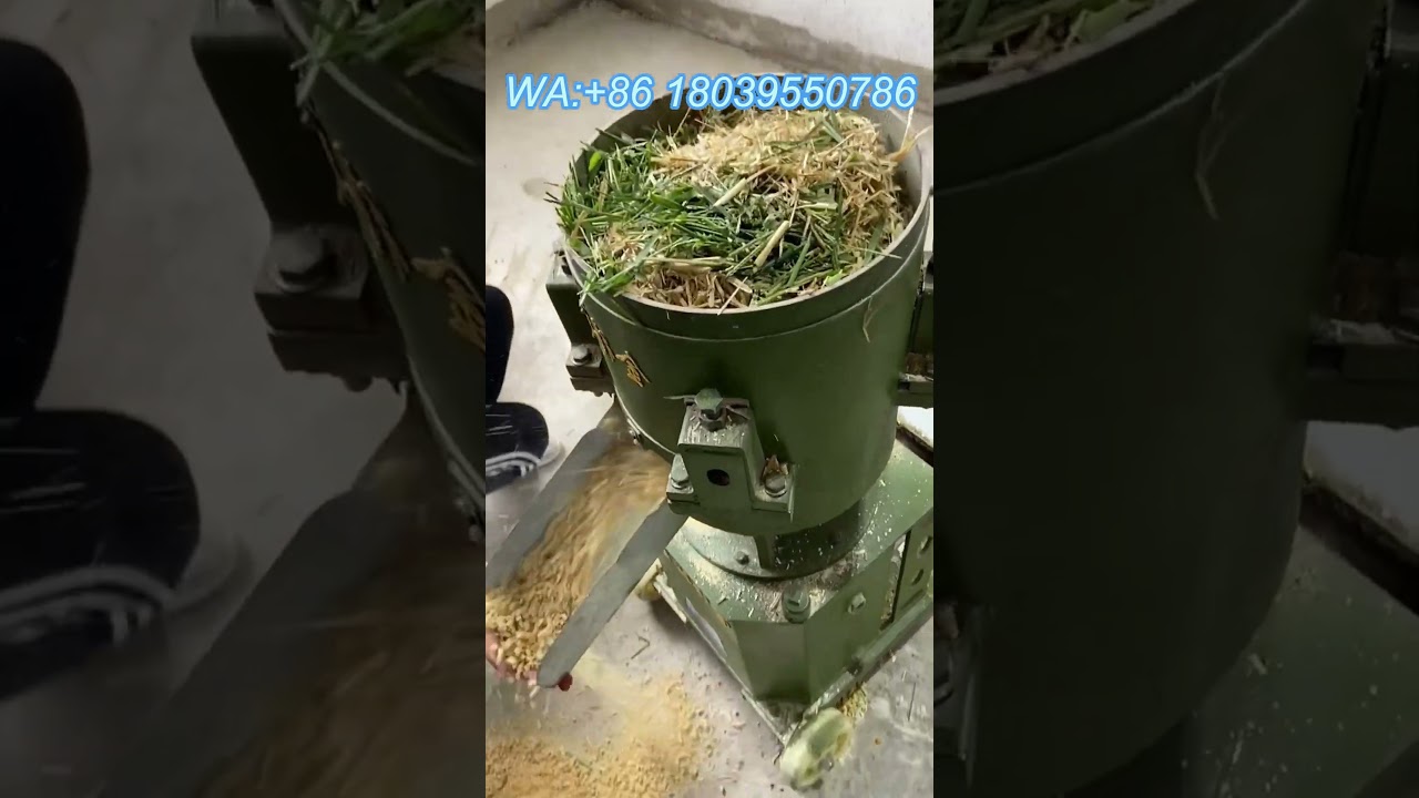 Feed pellet machine, production of feed pellets, breeding animals