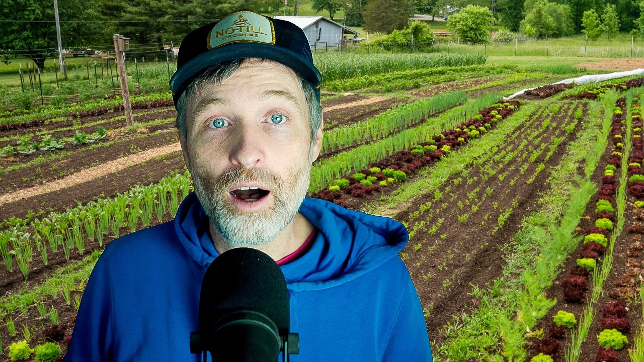 Using Plants to Clean Soil + You Should Work on a Farm