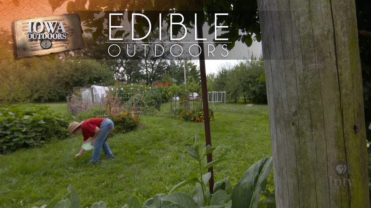 Edible Outdoors