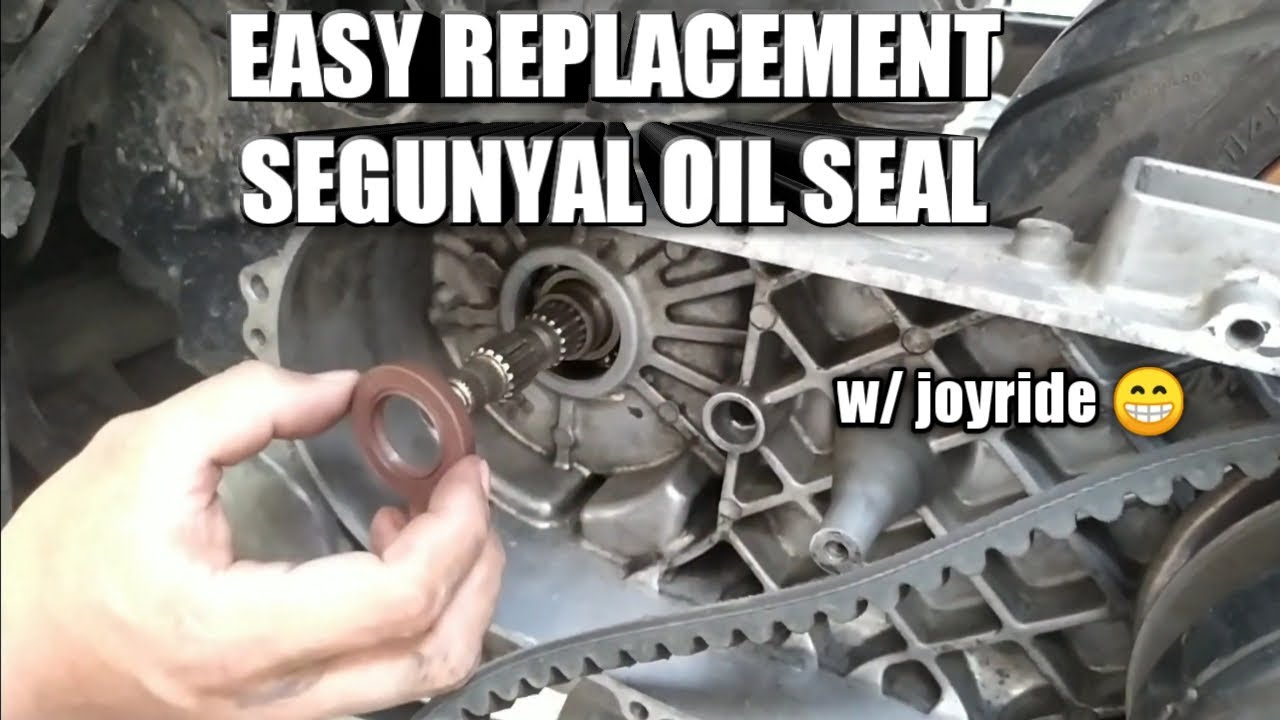 SKYDRIVE | LEFT CRANKSHAFT OIL SEAL | REPLACEMENT
