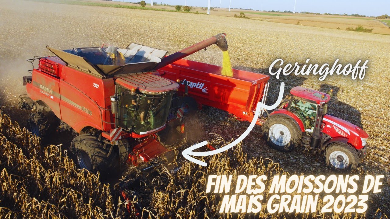 fin des moissons maïs grain 2023🌽 | Case Axial-Flow 6130 & cueilleur Gueringhoff 6 rangs