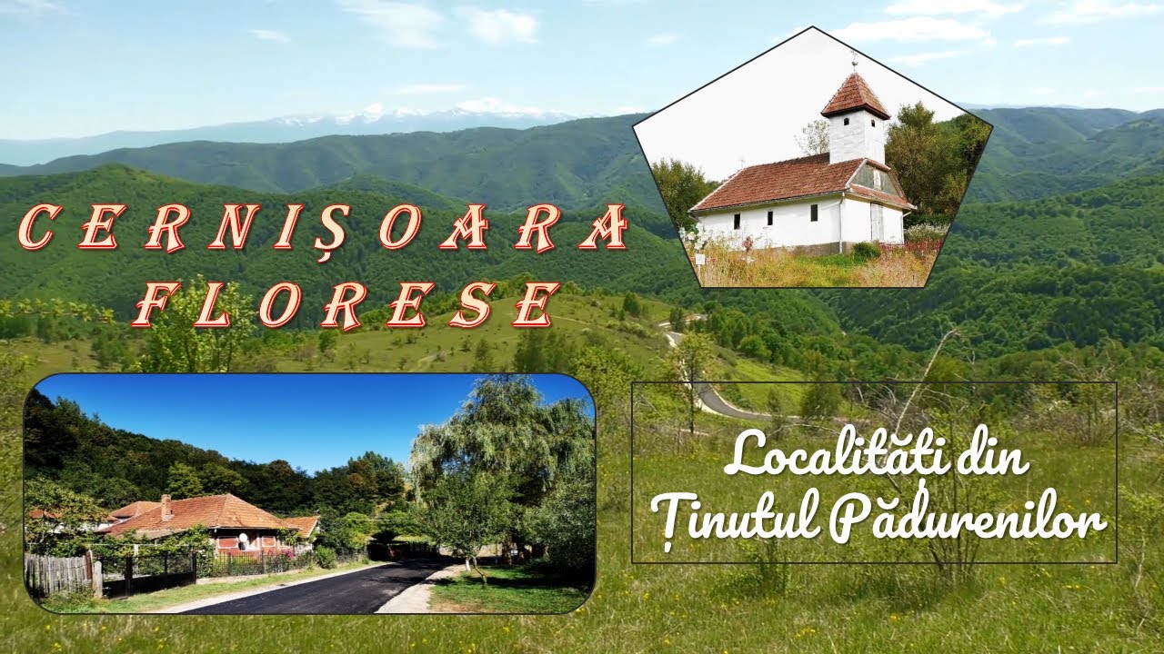 Satul Cernișoara Florese, Localități din Ținutul Pădurenilor episodul XIII