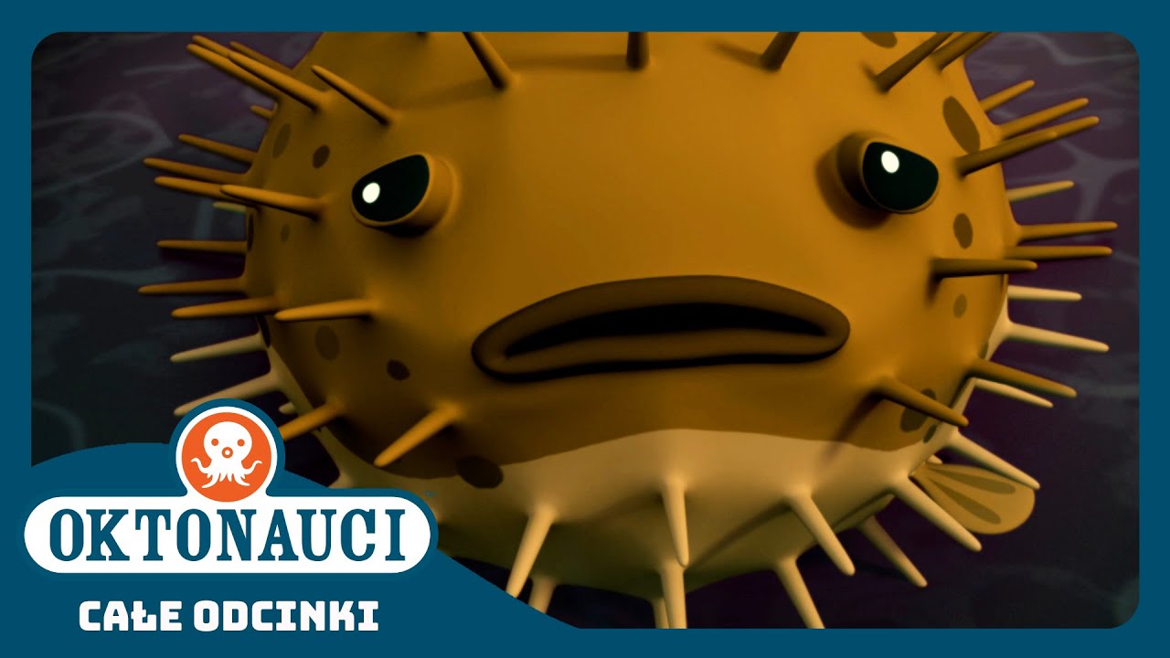 Oktonauci - 🐡 I Puchacz jeżozwierzy 🐋 | Cały odcinek 9 | Seria 2