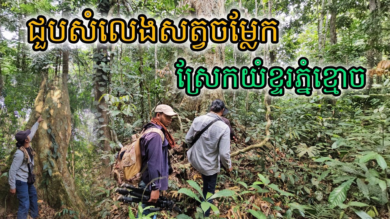 ជួបសំលេងសត្វចម្លែកស្រែកយំខ្ទរភ្នំខ្មោច
