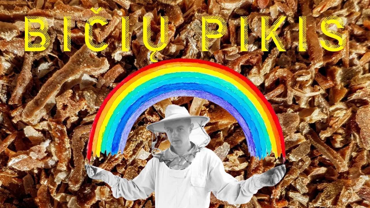 BIČIŲ PIKIS (propolis)