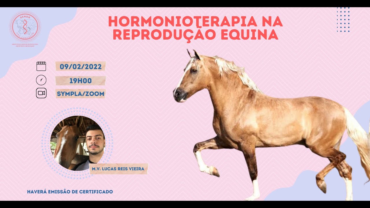 HORMONIOTERAPIA NA REPRODUÇÃO DA FÊMEA EQUINA