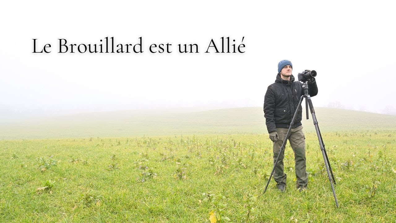 Photo de paysage dans le Brouillard