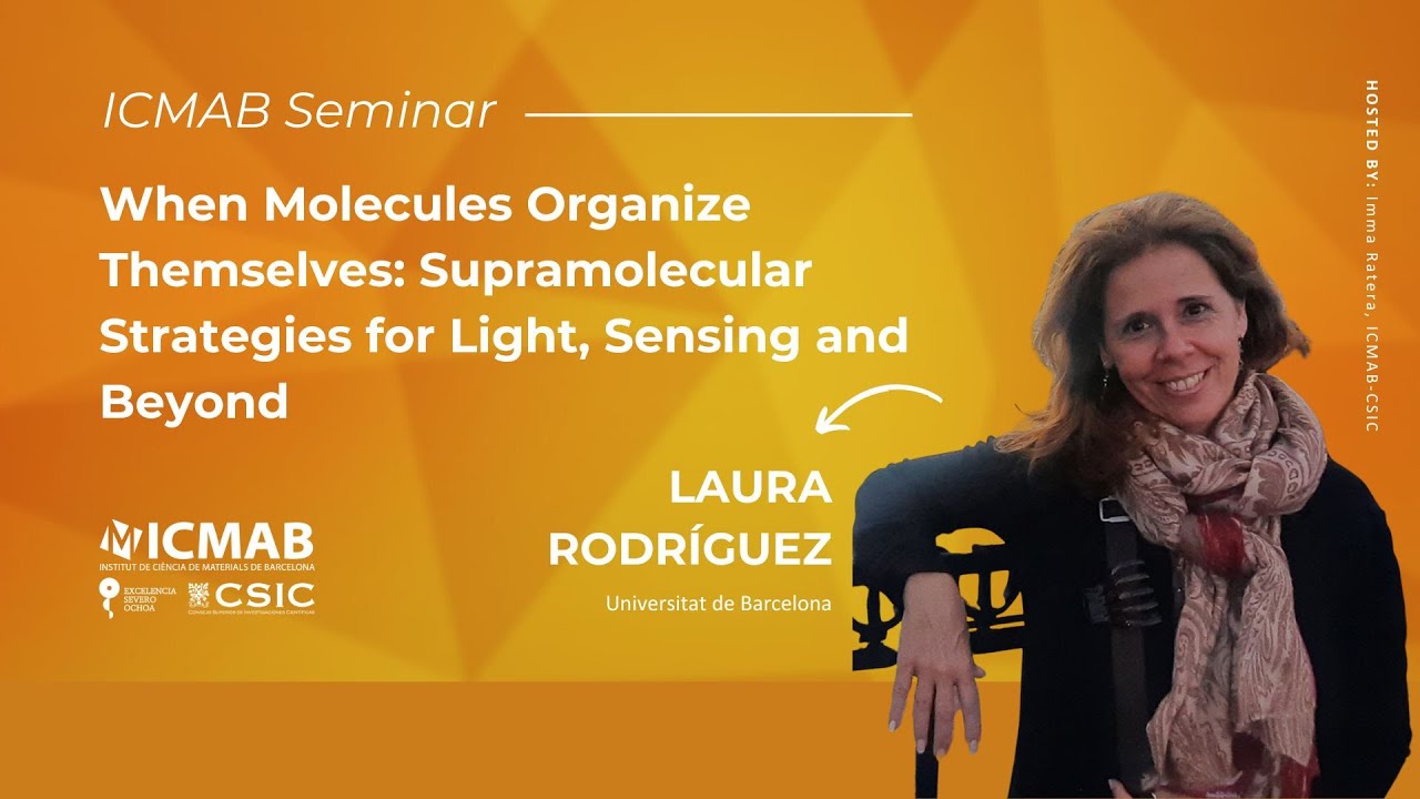 When Molecules Organize Themselves: Supramolecular Strategies for Light, Sensing and Beyond