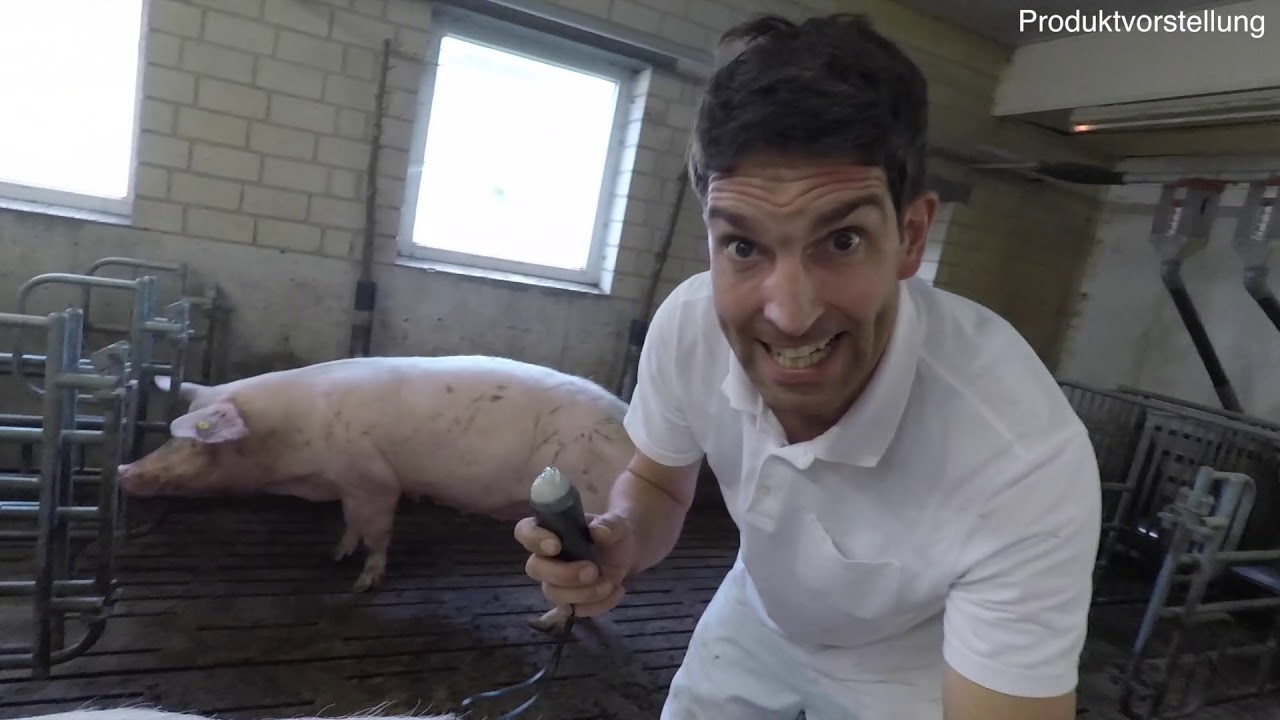 Wireless Ultraschall 🐷  Scan4Animal  🐷 Produkttest