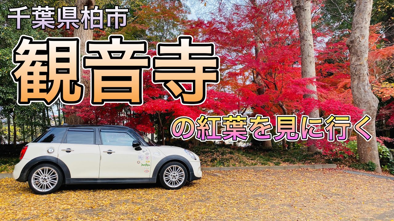 【柏市】観音寺の紅葉を見に行く&ドライブトーク