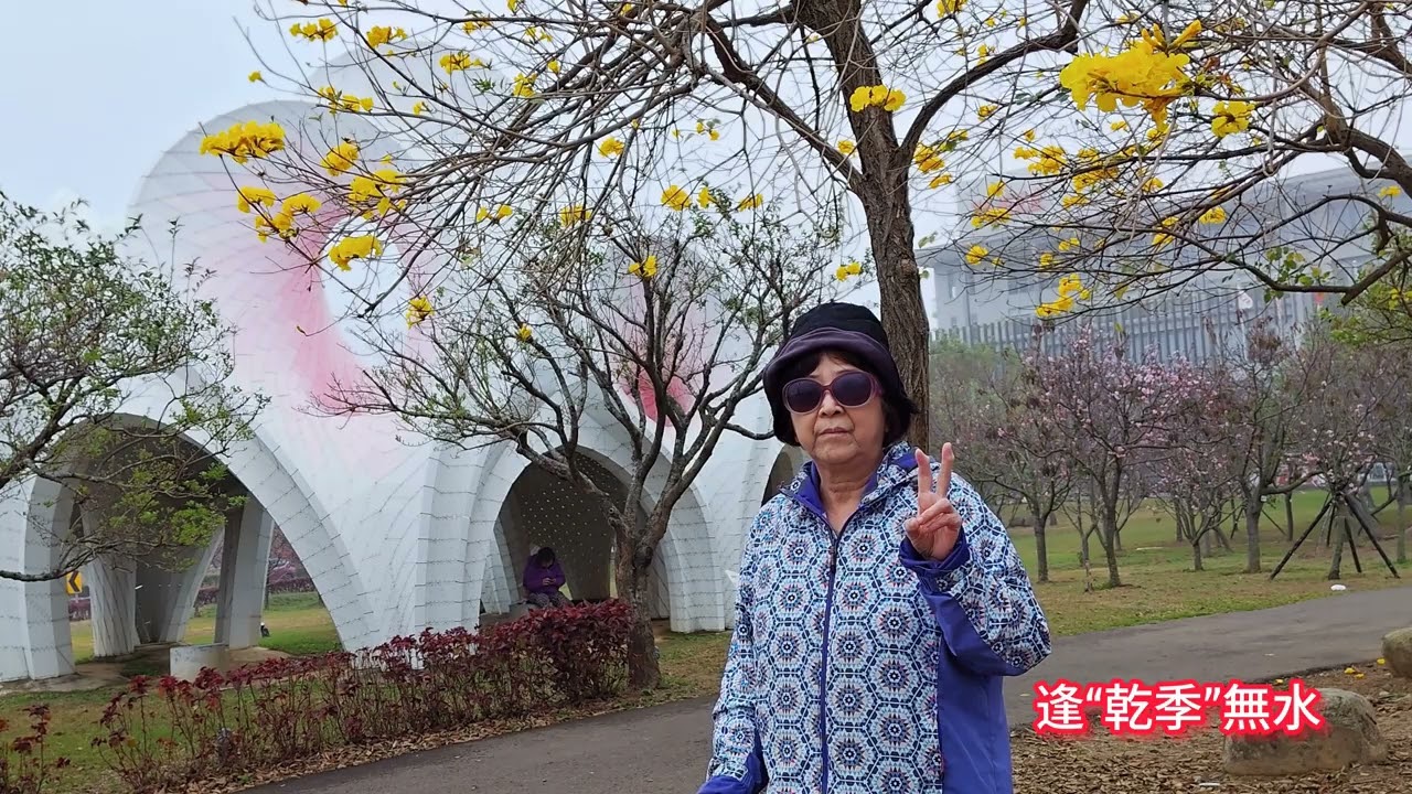 2026台中后里櫻花季“中科崴立櫻花公園”初訪記(續一)2026/3/5