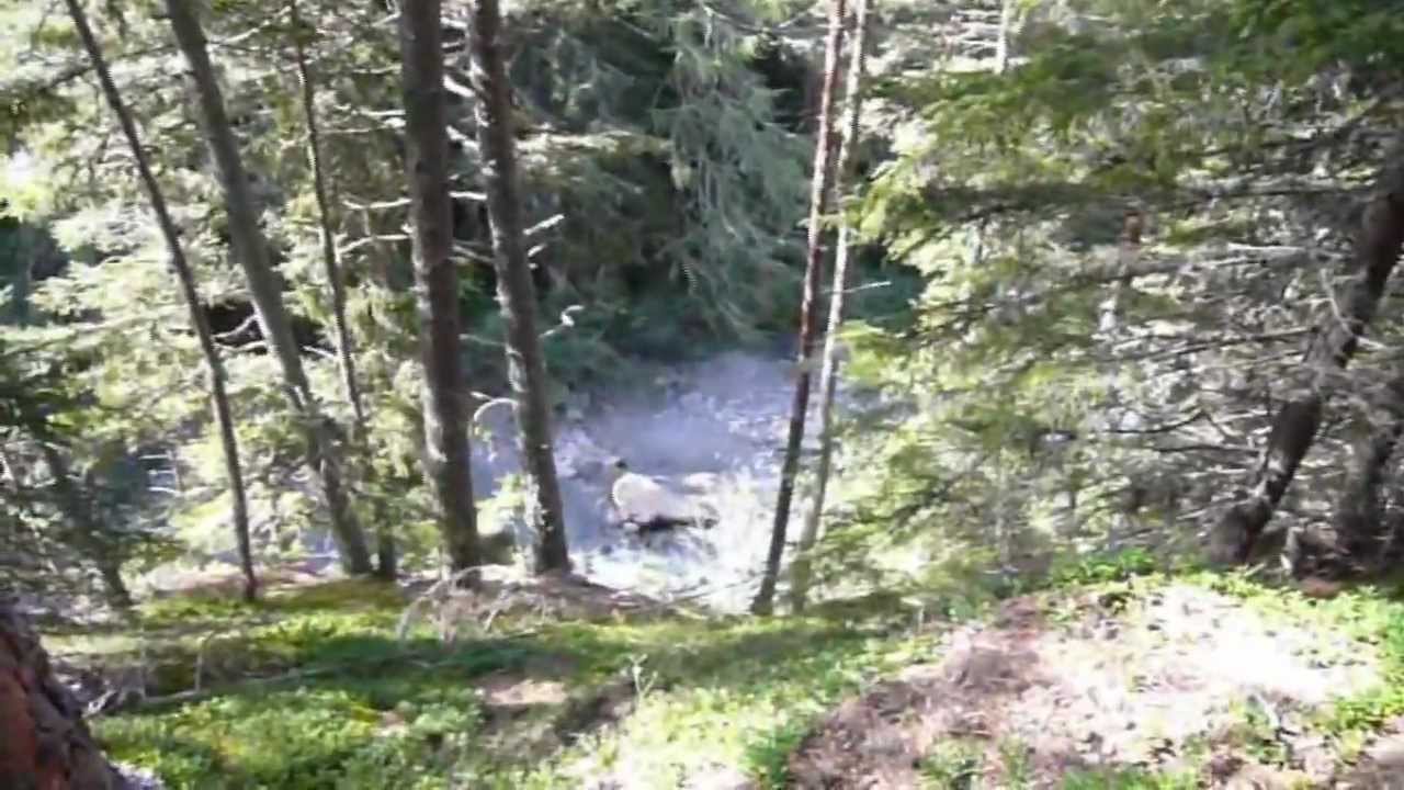 Vom Windachtal zur Stallwiesalm