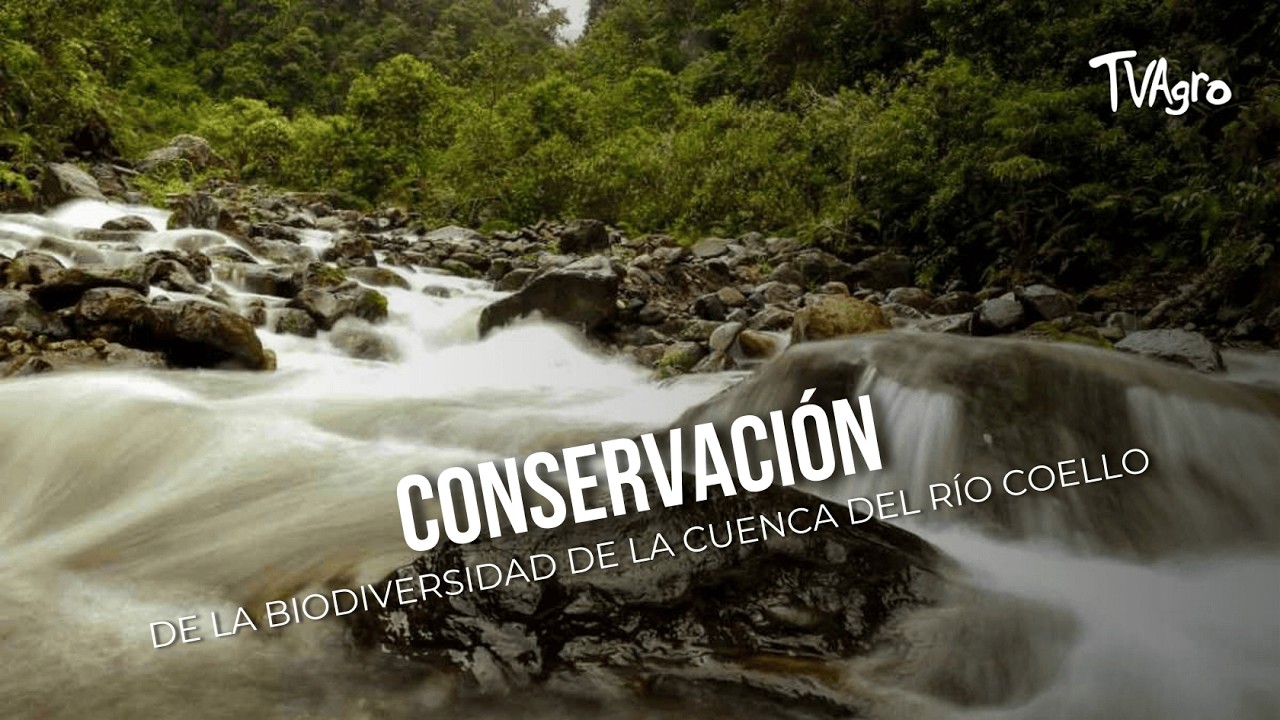 Conservación de la biodiversidad de la cuenca del río coello  - TvAgro por Juan Gonzalo Angel