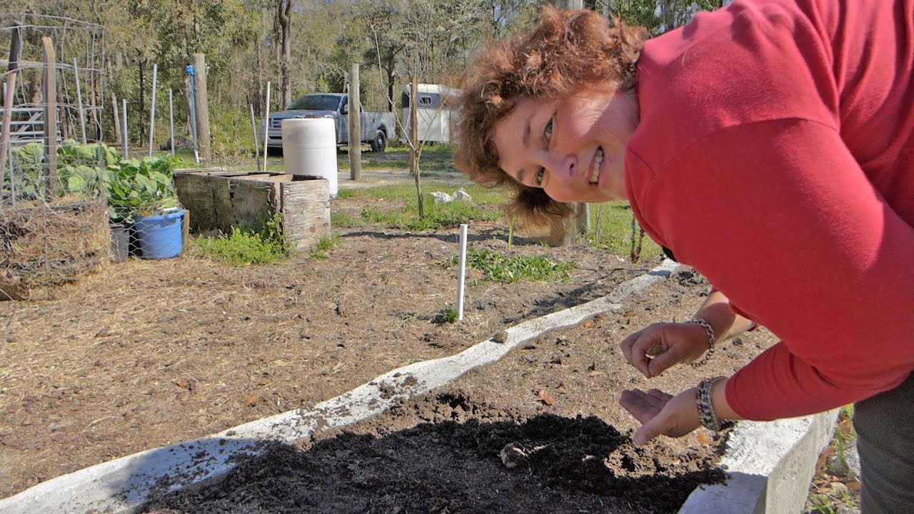 Growing Vegetables From Heirloom Seed