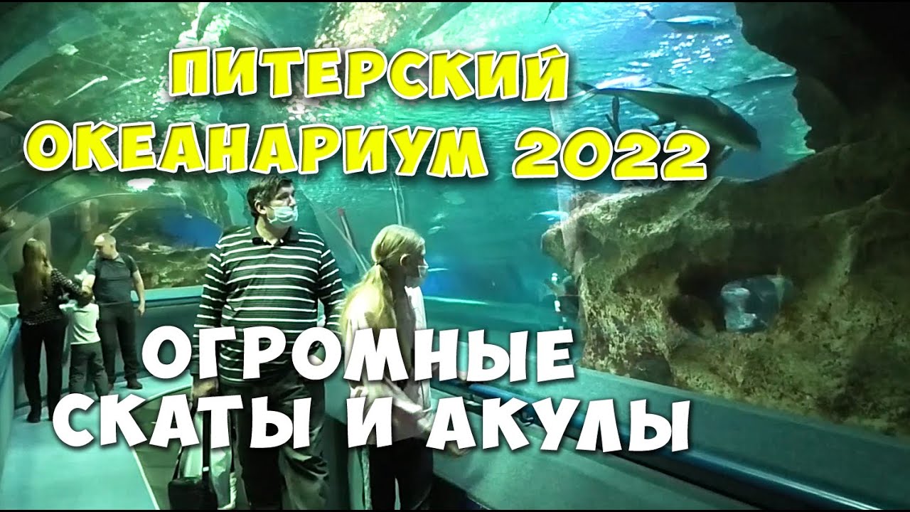 ПИТЕРСКИЙ ОКЕАНАРИУМ - 2022
