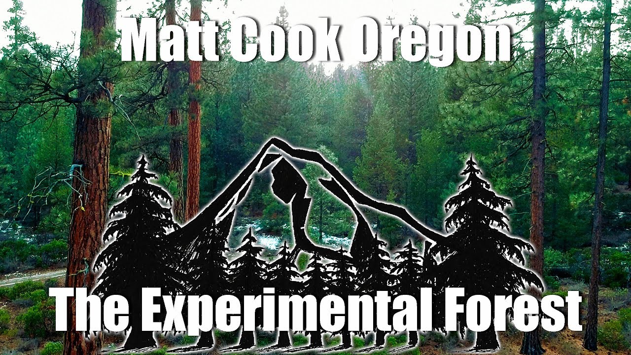 The Experimental Forest: Three types of forest management, Oregon
