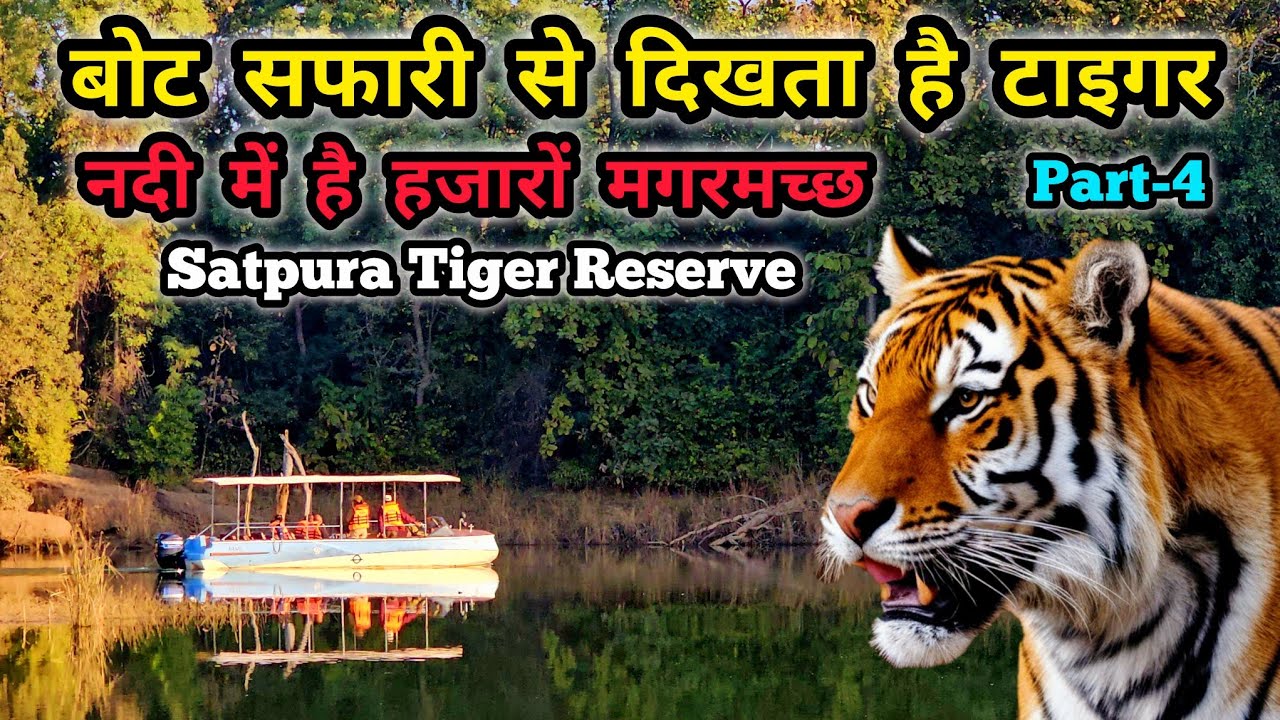 Boat Safari Se Dikhta hai Tiger | Satpura Tiger Reserve | Boat Safari Madhai | Denwa River Tawa Dam
