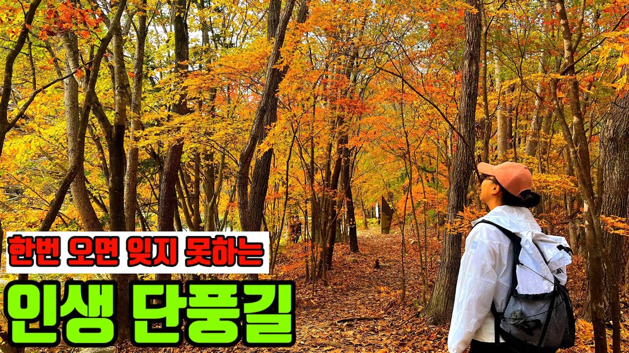 🚌 이러니 매료 될 수 밖에🍁 무조건 추천 드리는 9km 명품 트레킹코스/대중교통 여행/가을 추천여행지/당일치기여행/국내여행