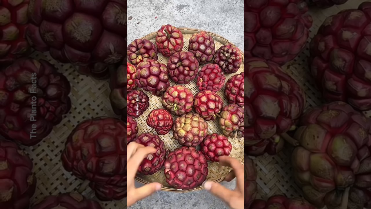 five most powerful fruits in the world #shorts