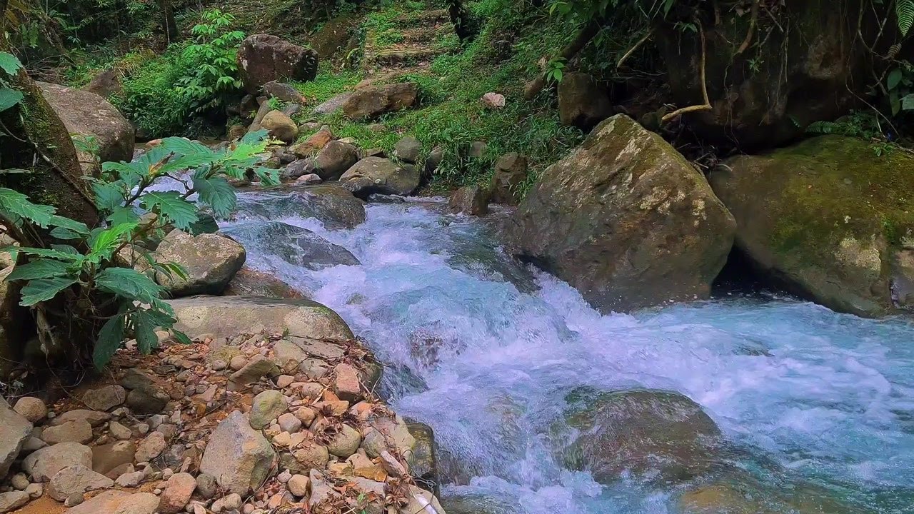 Nighttime River Ambience – Soothing Moonlit Flow to Help You Sleep Comfortably