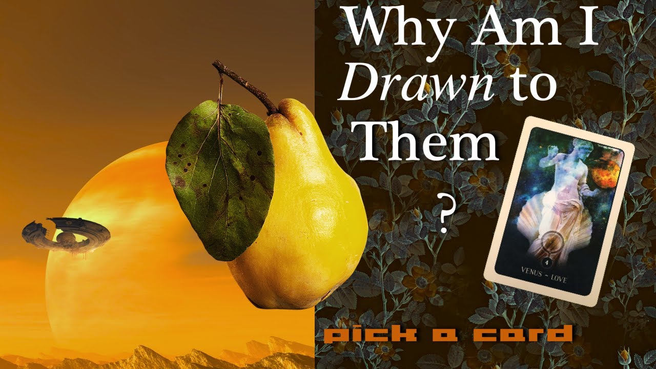 Why Am I So DRAWN To This Person?? 🍐PICK A CARD🍐 Tarot Reading ⚘what your thinking about them says⚘